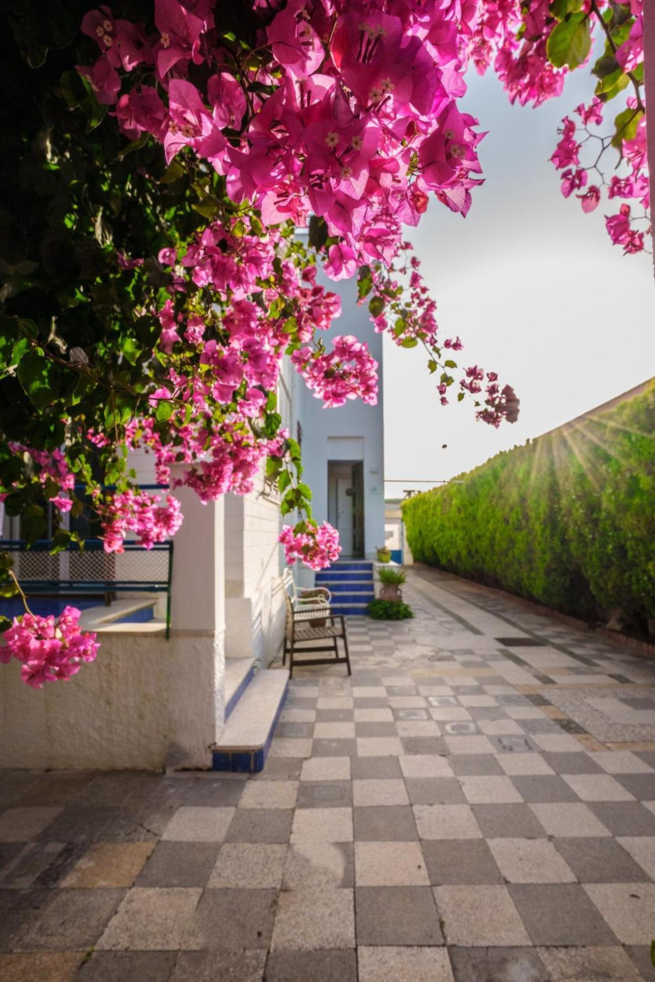 Le Vele Mondello, Villa A Due Passi Dal Mare Zewnętrze zdjęcie